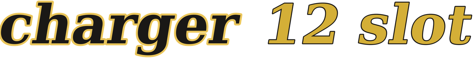 charger 12 slot logo